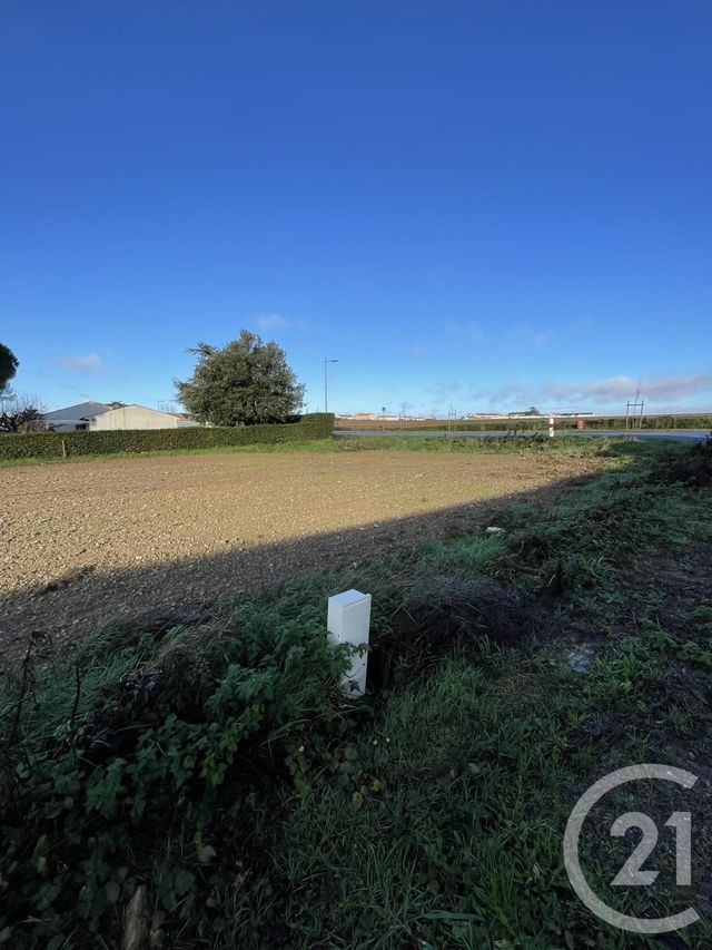 Terrain &agrave; vendre - 521 m2 - Longeville Sur Mer - 85 - PAYS-DE-LOIRE