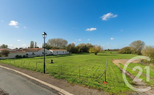 Terrain à vendre ST MICHEL EN L HERM