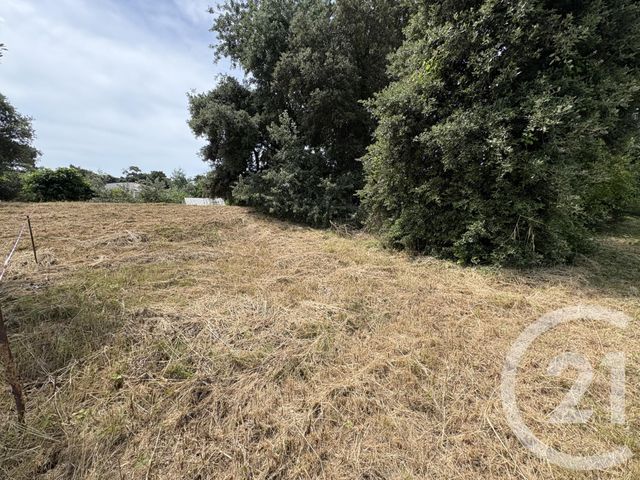 Terrain &agrave; vendre - 460 m2 - La Tranche Sur Mer - 85 - PAYS-DE-LOIRE