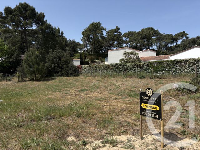 terrain - LA TRANCHE SUR MER - 85