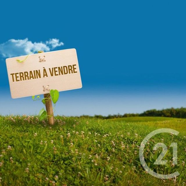 terrain - AVRILLE - 85